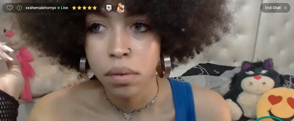 ImLive cam site interface